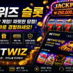 BETWIZ BONUSES